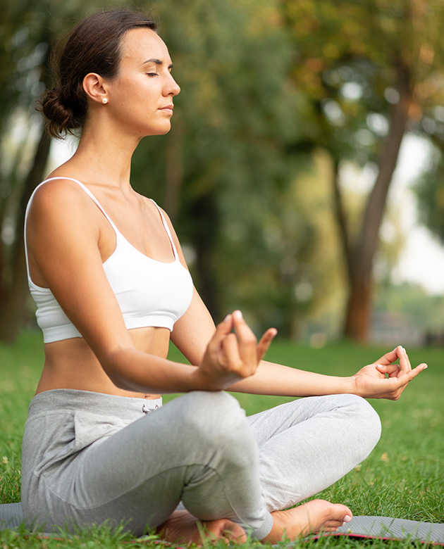 profesores de meditación