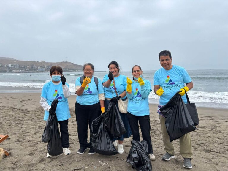Actividad de limpieza de playa en abril 2026